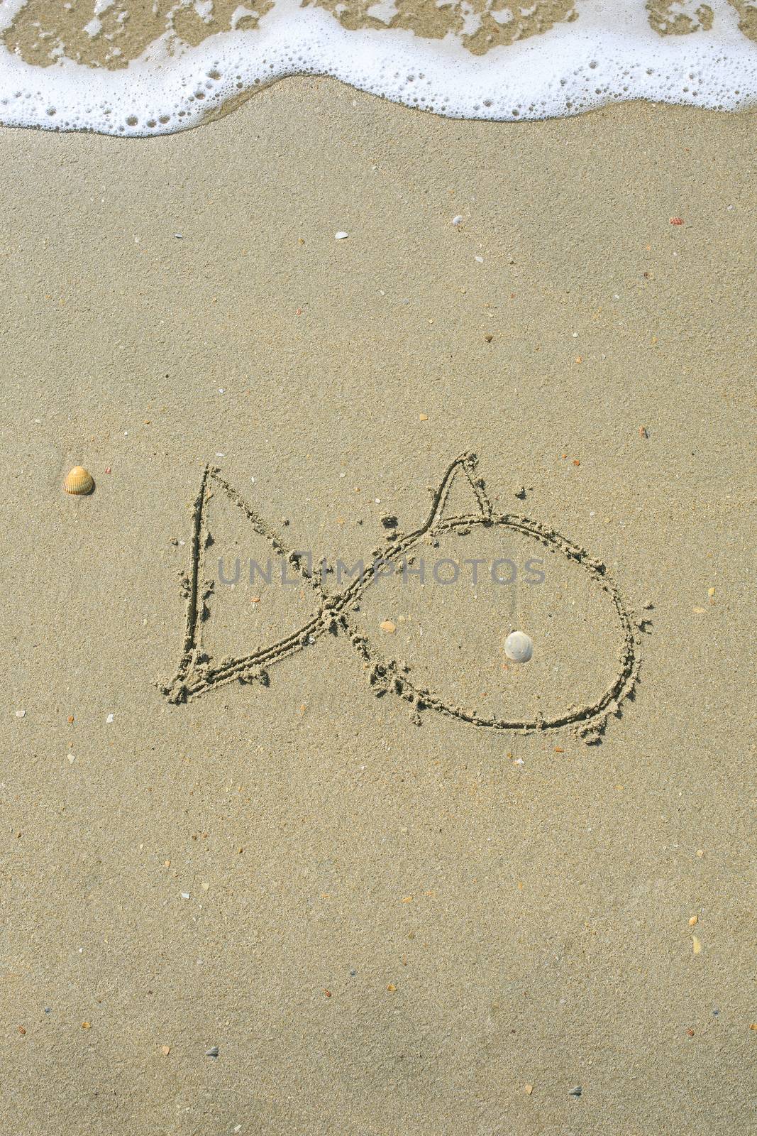Fish drawn on the sand beach