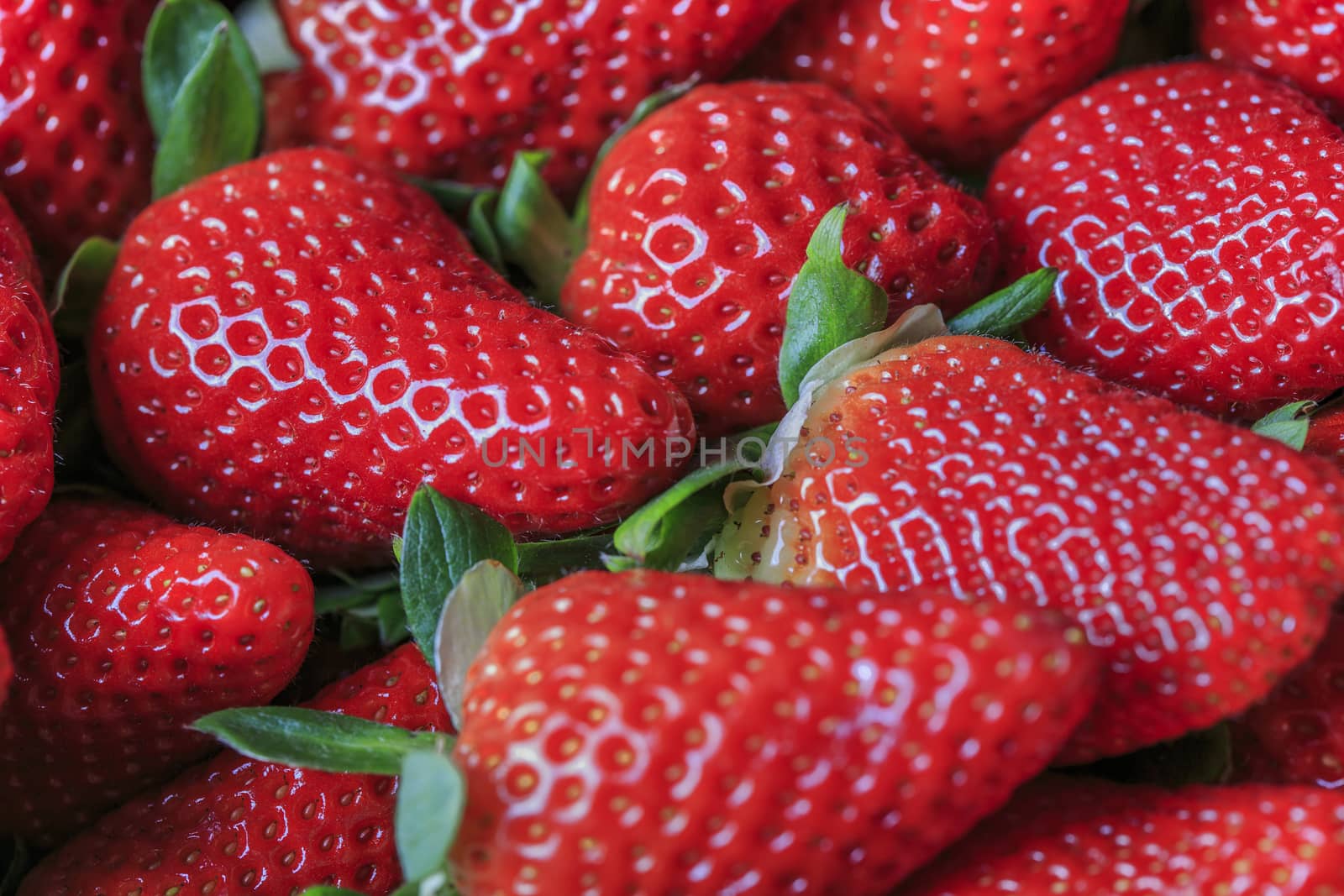 Group of fresh strawberries