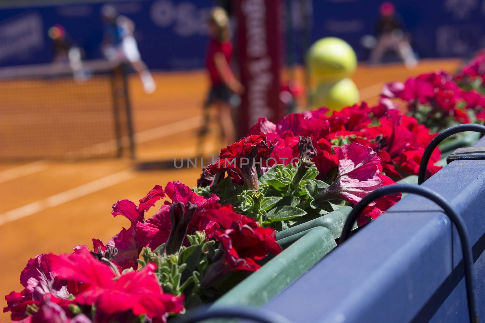 Tennis player in championship