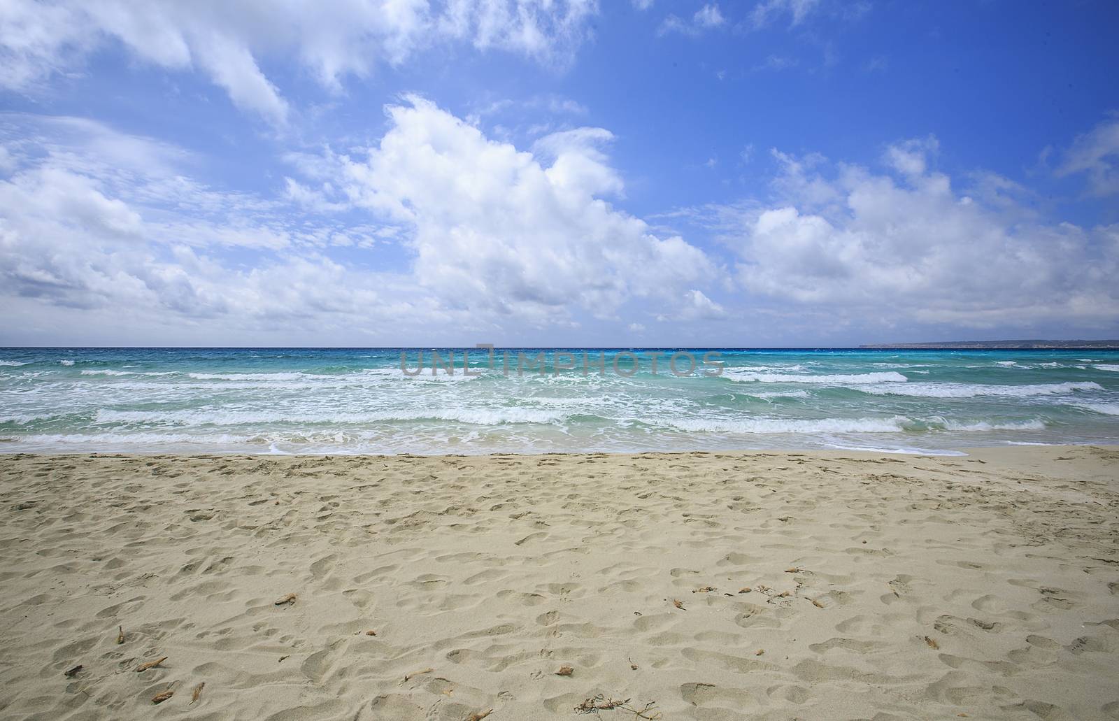 Beach in Formentera ,balearic islands ,Spain