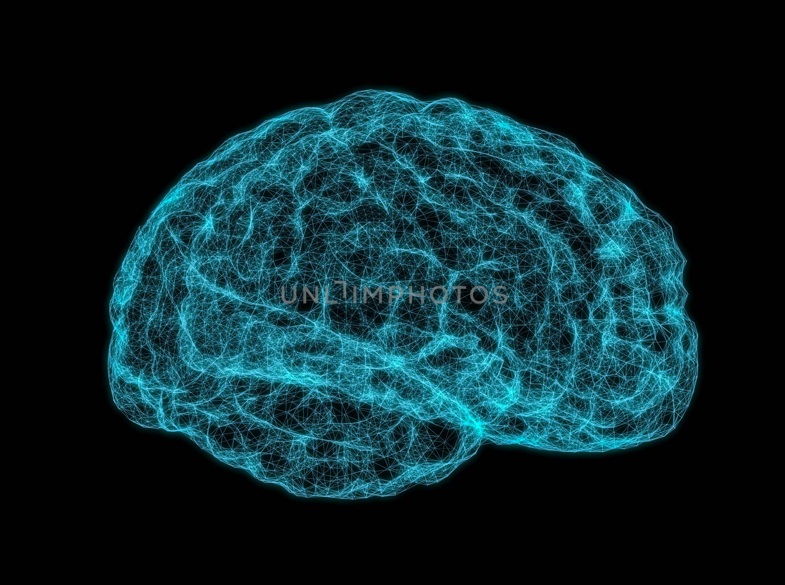 X-ray image of human brain on dark background. 3D Illustration