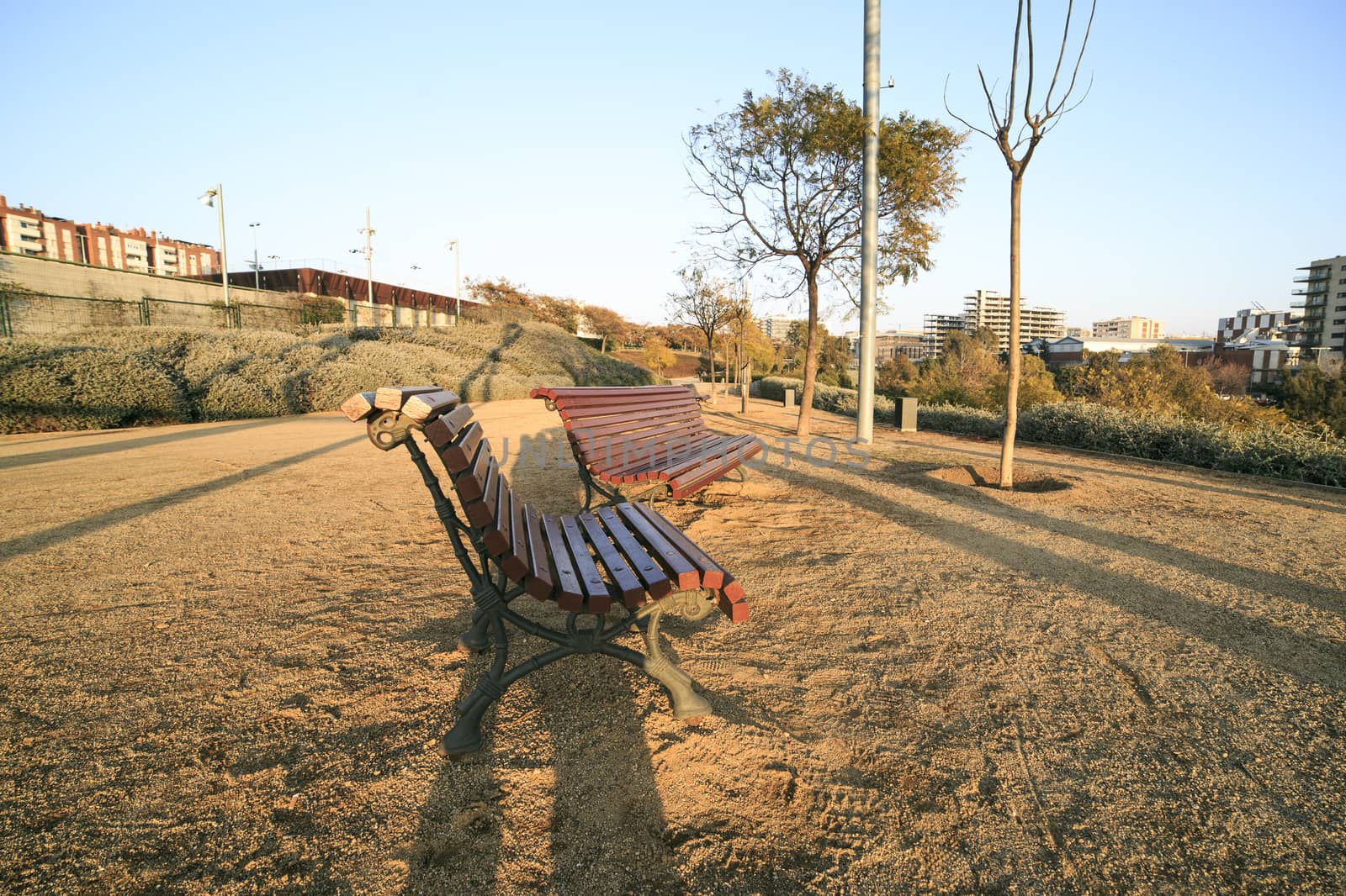 bench in the park