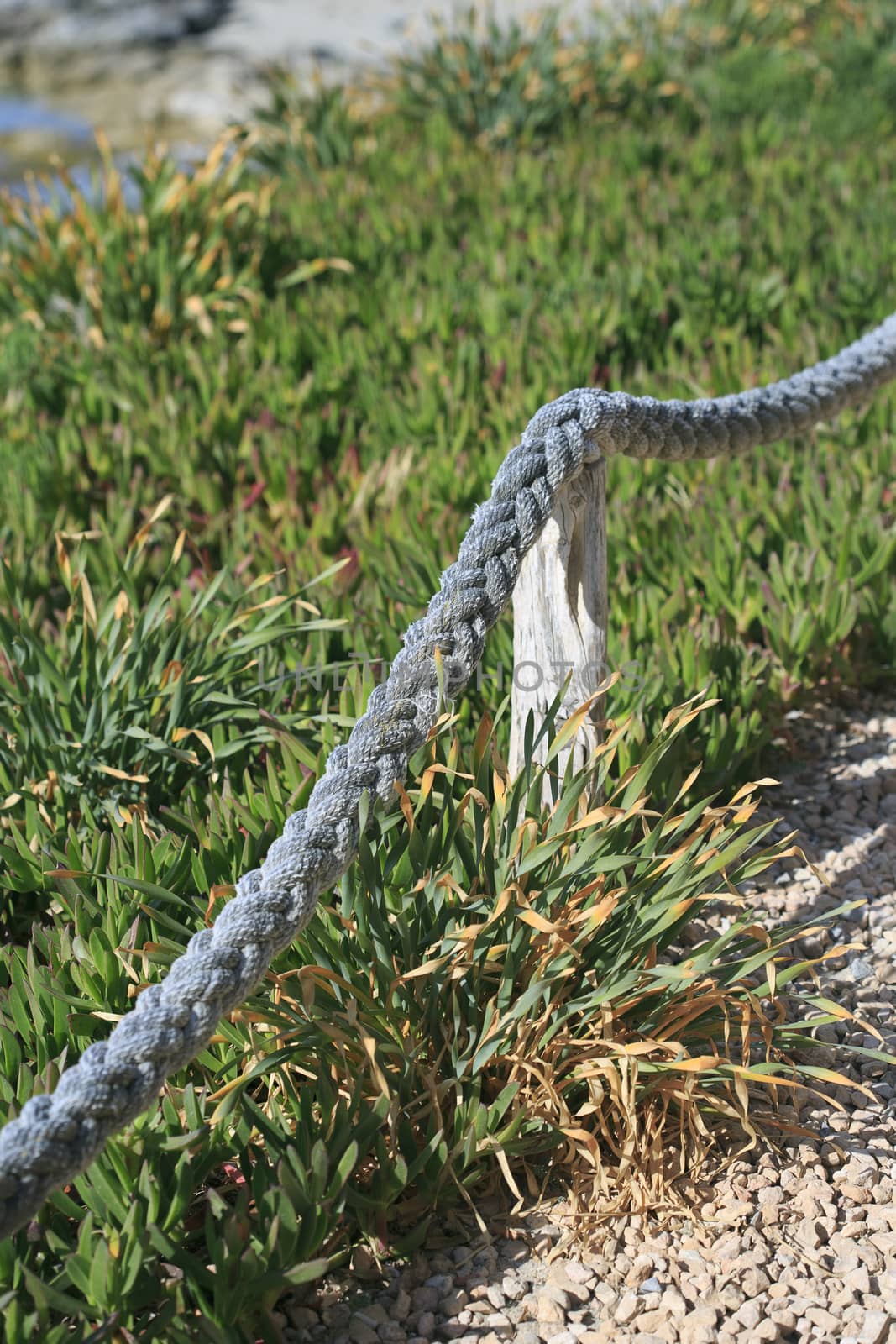 Old rope on the beach