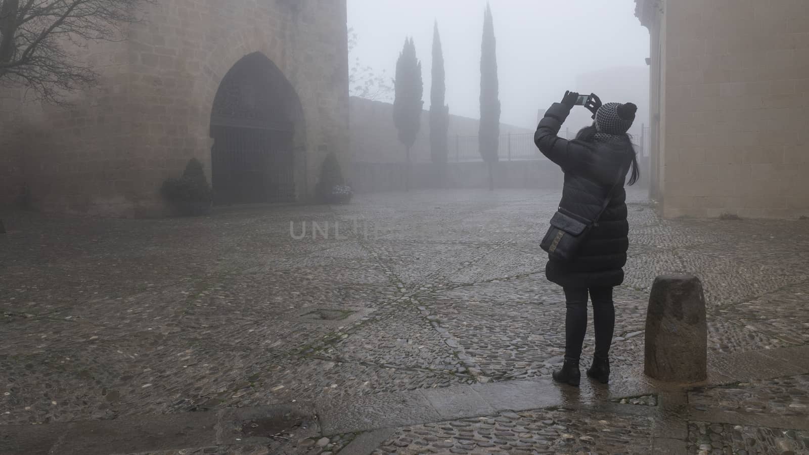 Woman shooting photograph in the fog by nachrc2001