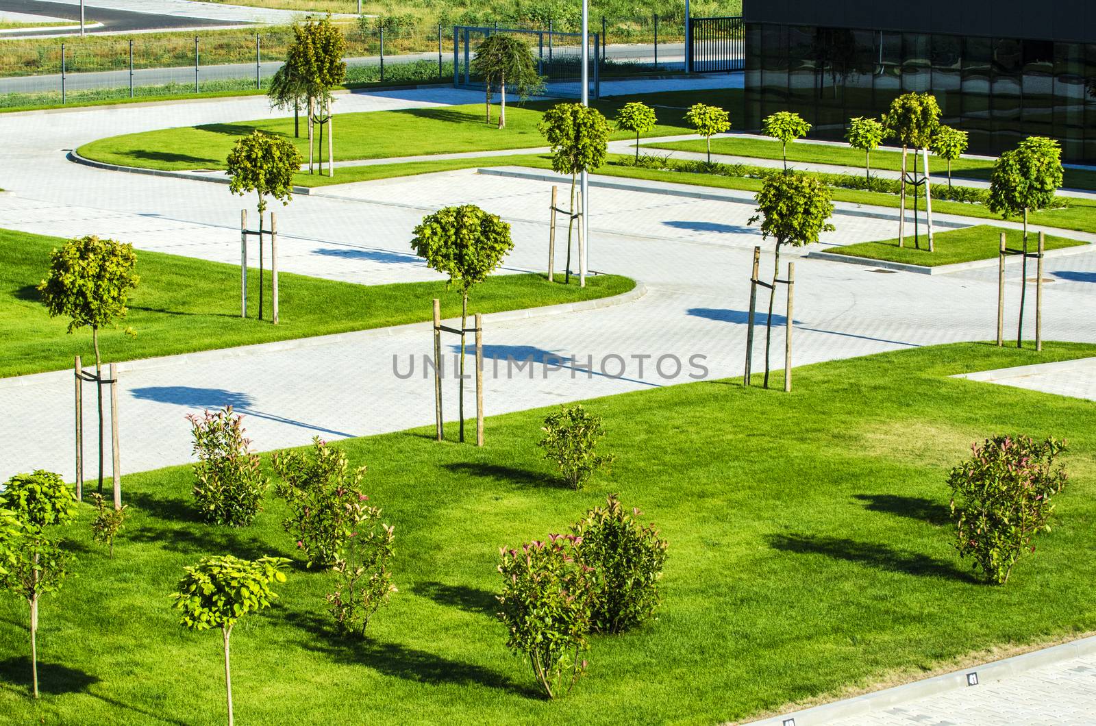 Beautifully maintained decorative plants on display in the garden