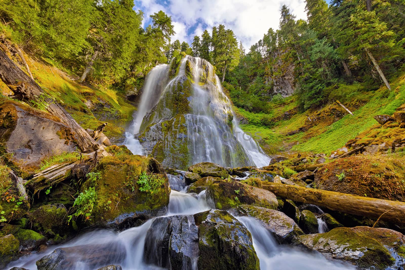 Upper Tier of Falls Creek Falls in Summer by Davidgn