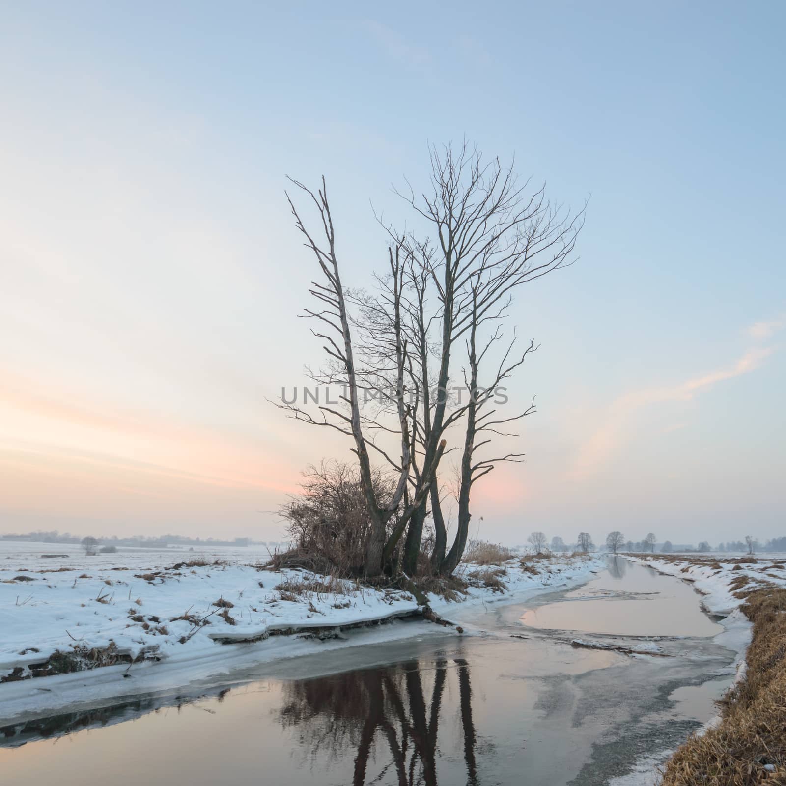 blue sky by TSpider