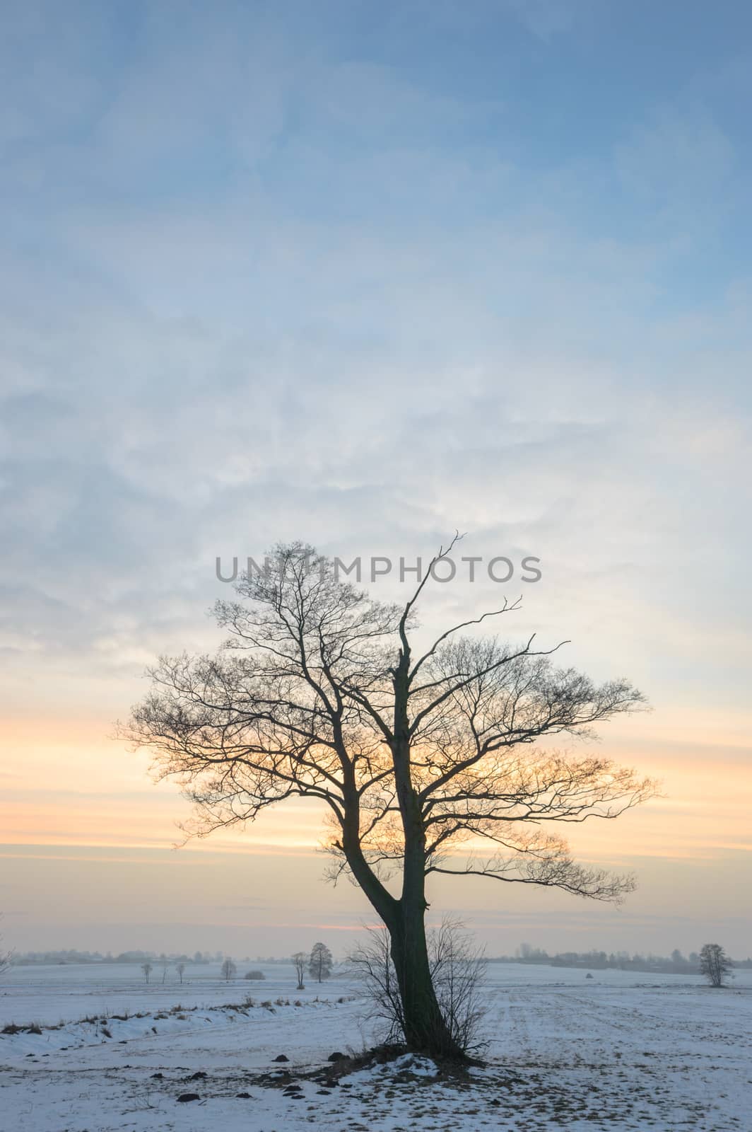 blue sky, natural clouds, nature series
