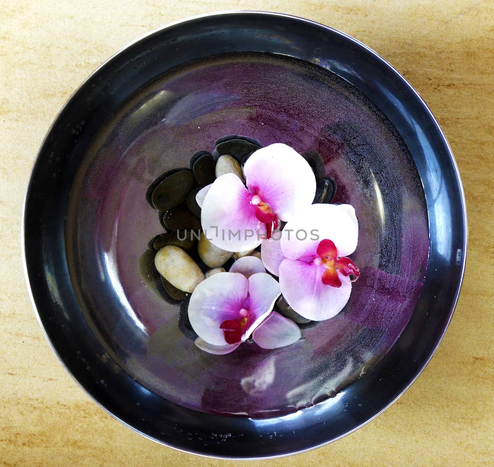 Close up view on pink flowers in a plate