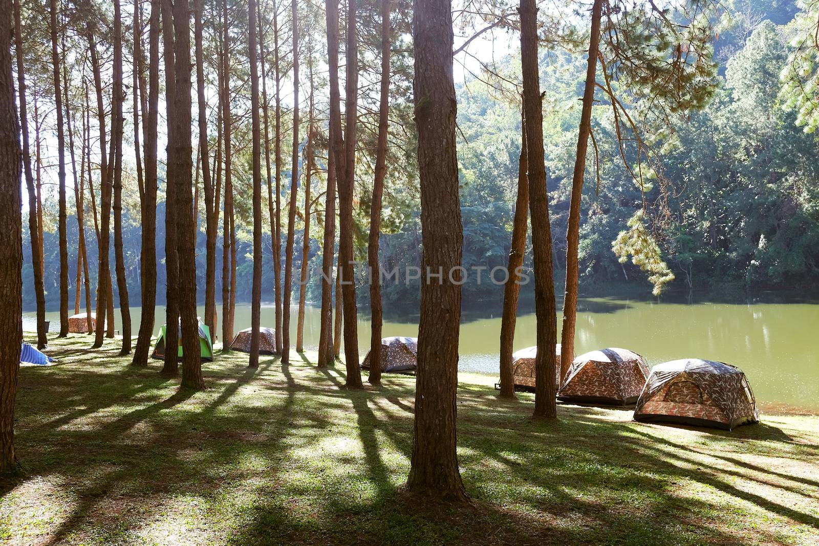 Pang Tong Under Royal Forest Park ( Pang ung ) at Mae Hong Son Province,Thailand. Pang Ung is a popular place to stay in a camping in the winter.