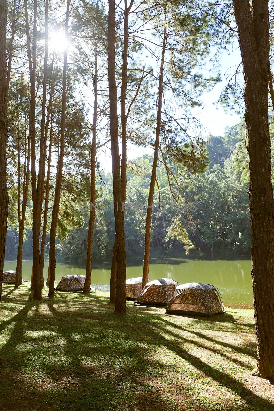 Pang Tong Under Royal Forest Park ( Pang ung ) at Mae Hong Son Province,Thailand. Pang Ung is a popular place to stay in a camping in the winter.
