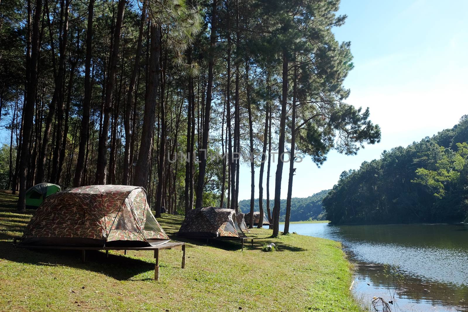 Pang Tong Under Royal Forest Park ( Pang ung ) at Mae Hong Son Province,Thailand. Pang Ung is a popular place to stay in a camping in the winter.