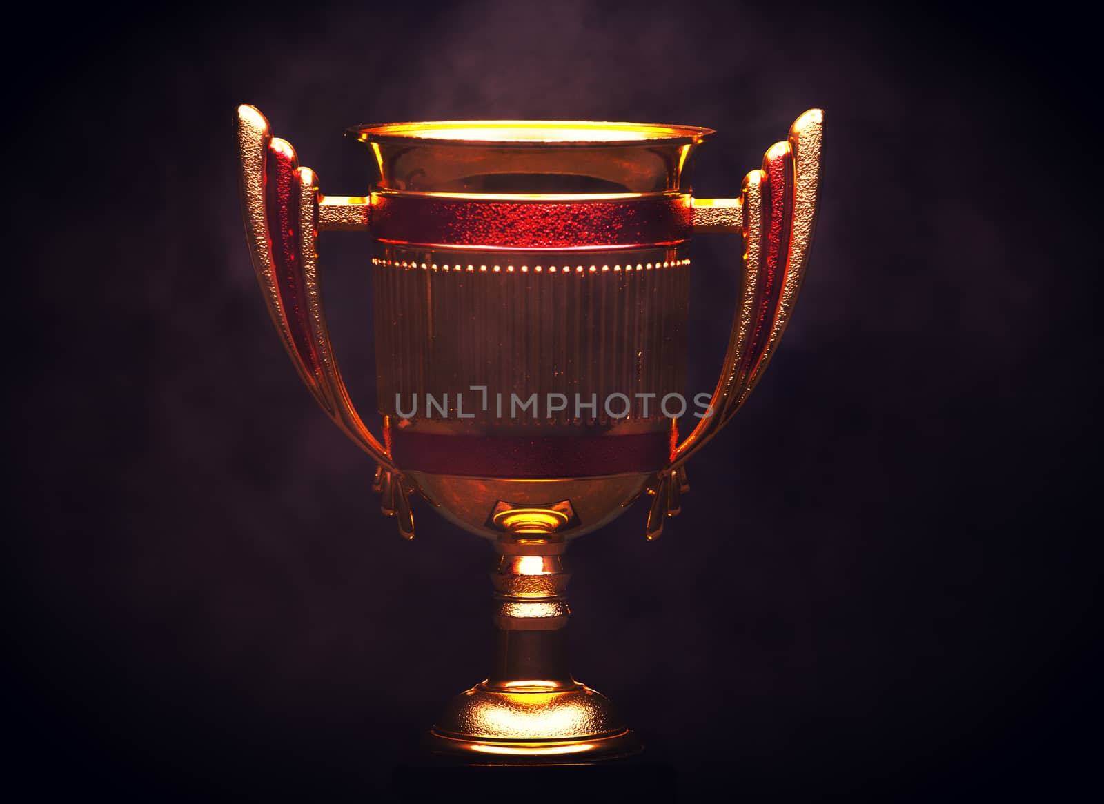 Gold Cup Studio Quality Dark Background