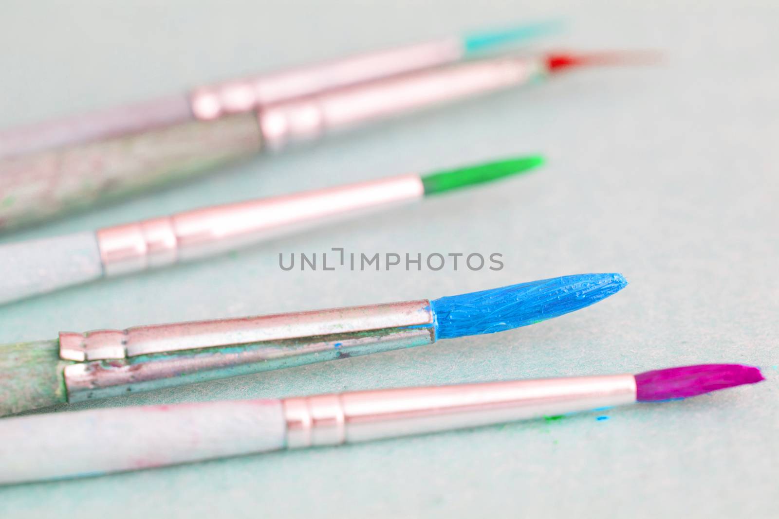 Row of artist paintbrushes closeup on white background.