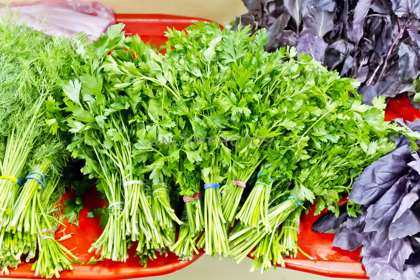 Sheaf of fresh green parsley and dill foliage in marketplace