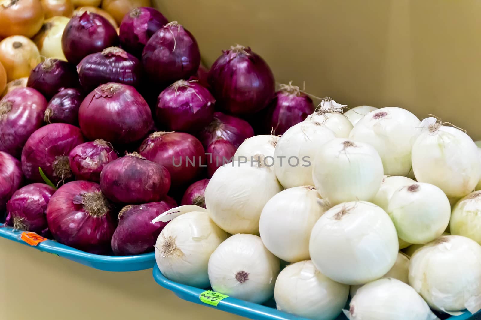 White and violet onion with prices by Julialine