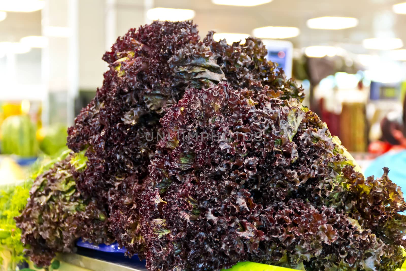 Big sheaf of fresh colour salad in marketplace