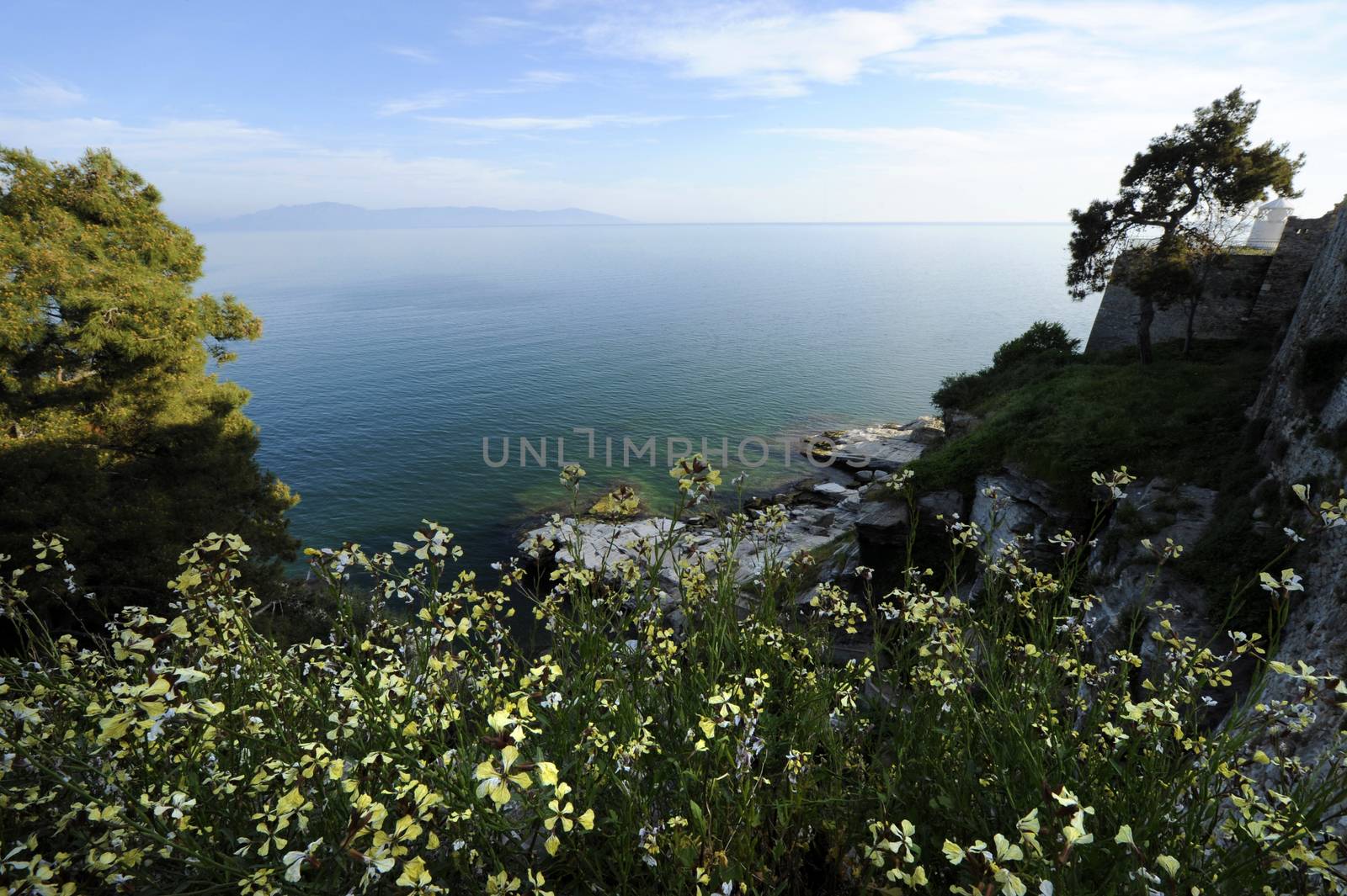 Landscape of seaside with green plants and blue sky