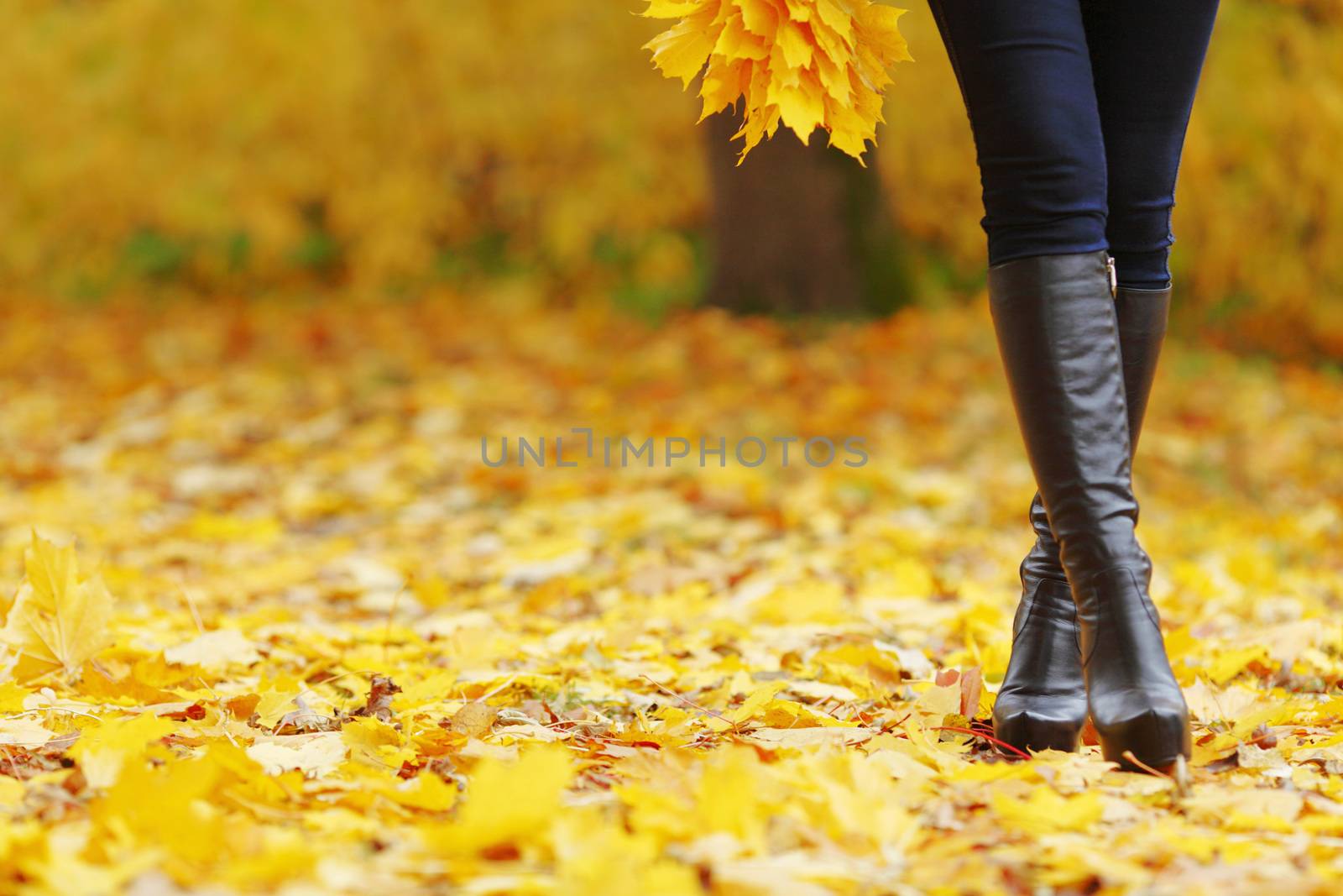 View on female legs over dry autumn leaves background