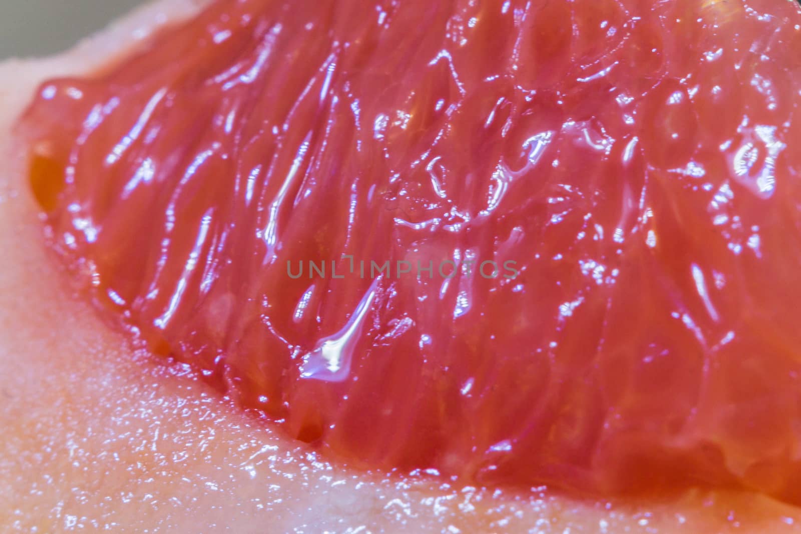 grapefruit close-up macro photo of citrus fruits