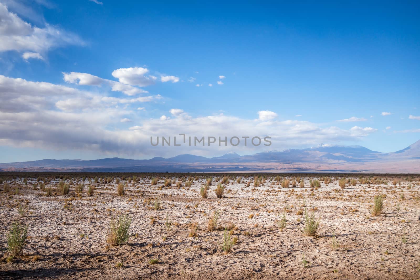 Wild desert landscape in San Pedro de Atacama, Chile