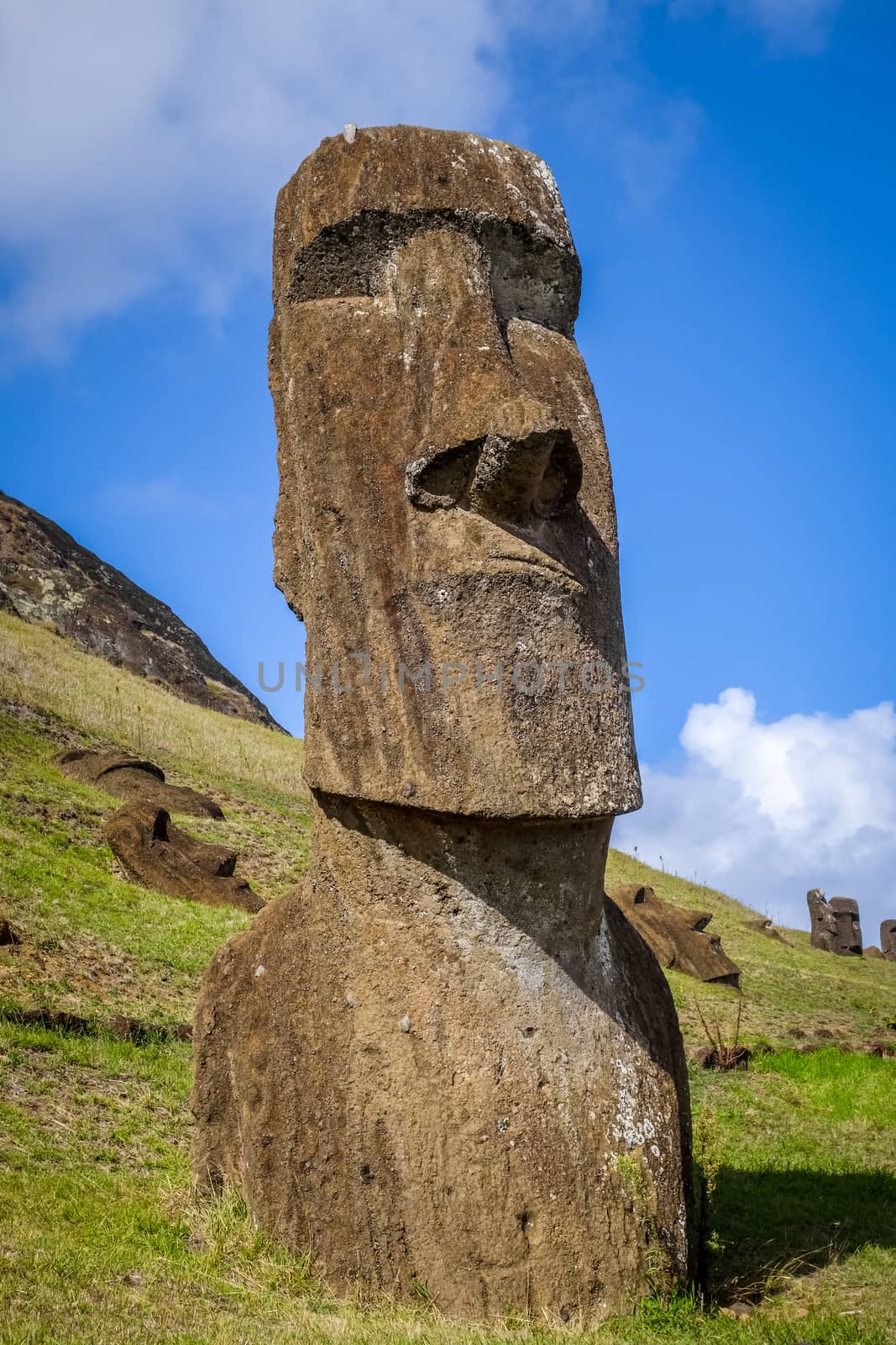 Moais statues on Rano Raraku volcano, easter island by daboost