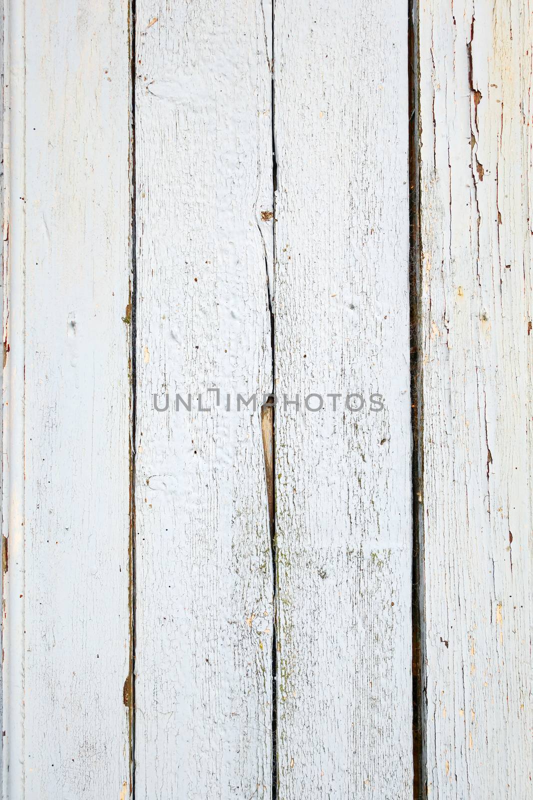 Old wood board painted white by daboost