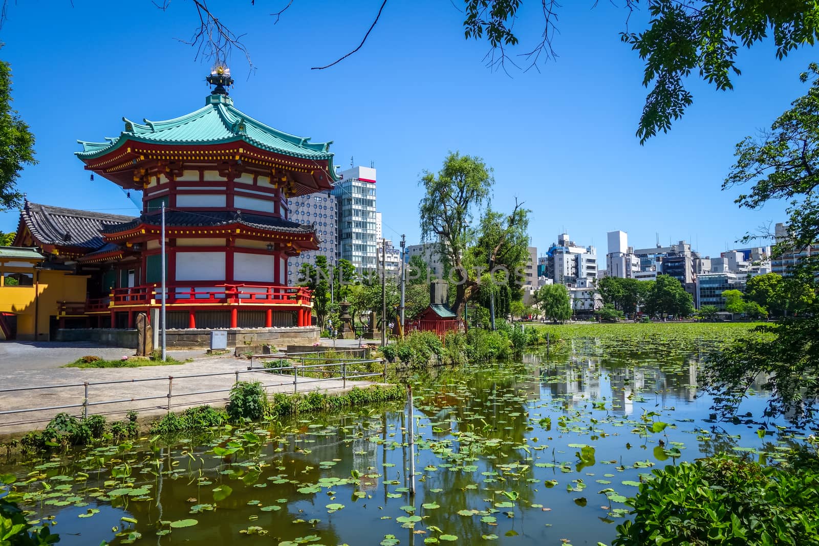 Shinobazu pond and Benten Hall Temple, Ueno, Tokyo, Japan by daboost