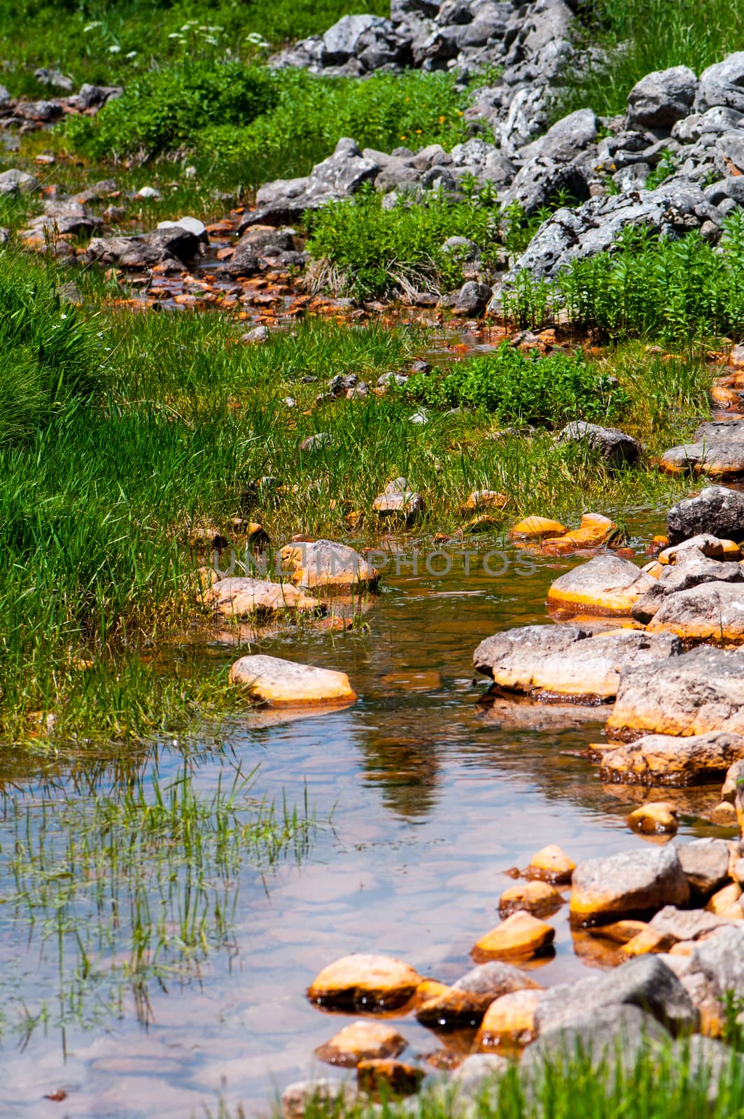 small creek surounded by rocks on the meadow in the mountain