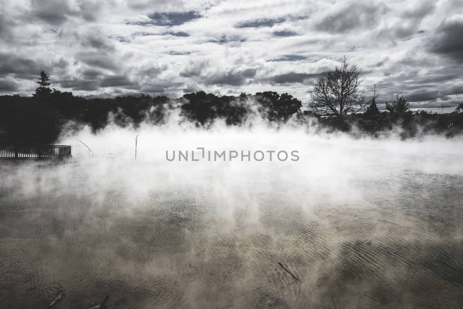 Misty lake and forest in Rotorua volcanic area, New Zealand