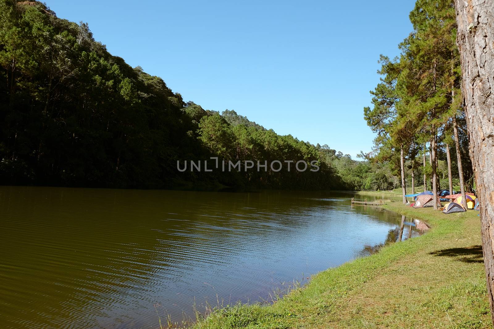 Pang Tong Under Royal Forest Park ( Pang ung ) at Mae Hong Son Province,Thailand. Pang Ung is a popular place to stay in a camping in the winter.