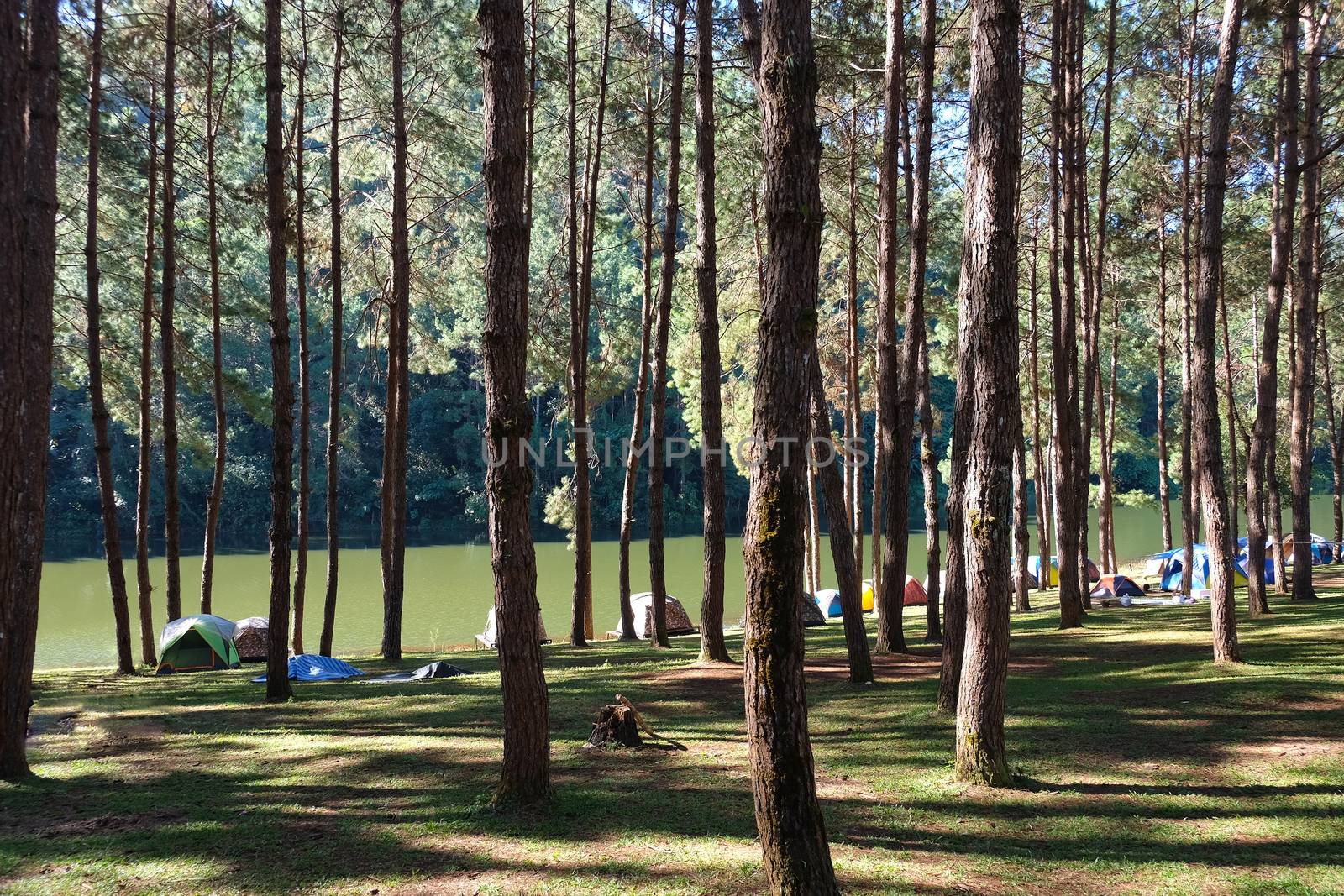 Pang Tong Under Royal Forest Park ( Pang ung ) at Mae Hong Son Province,Thailand. Pang Ung is a popular place to stay in a camping in the winter.
