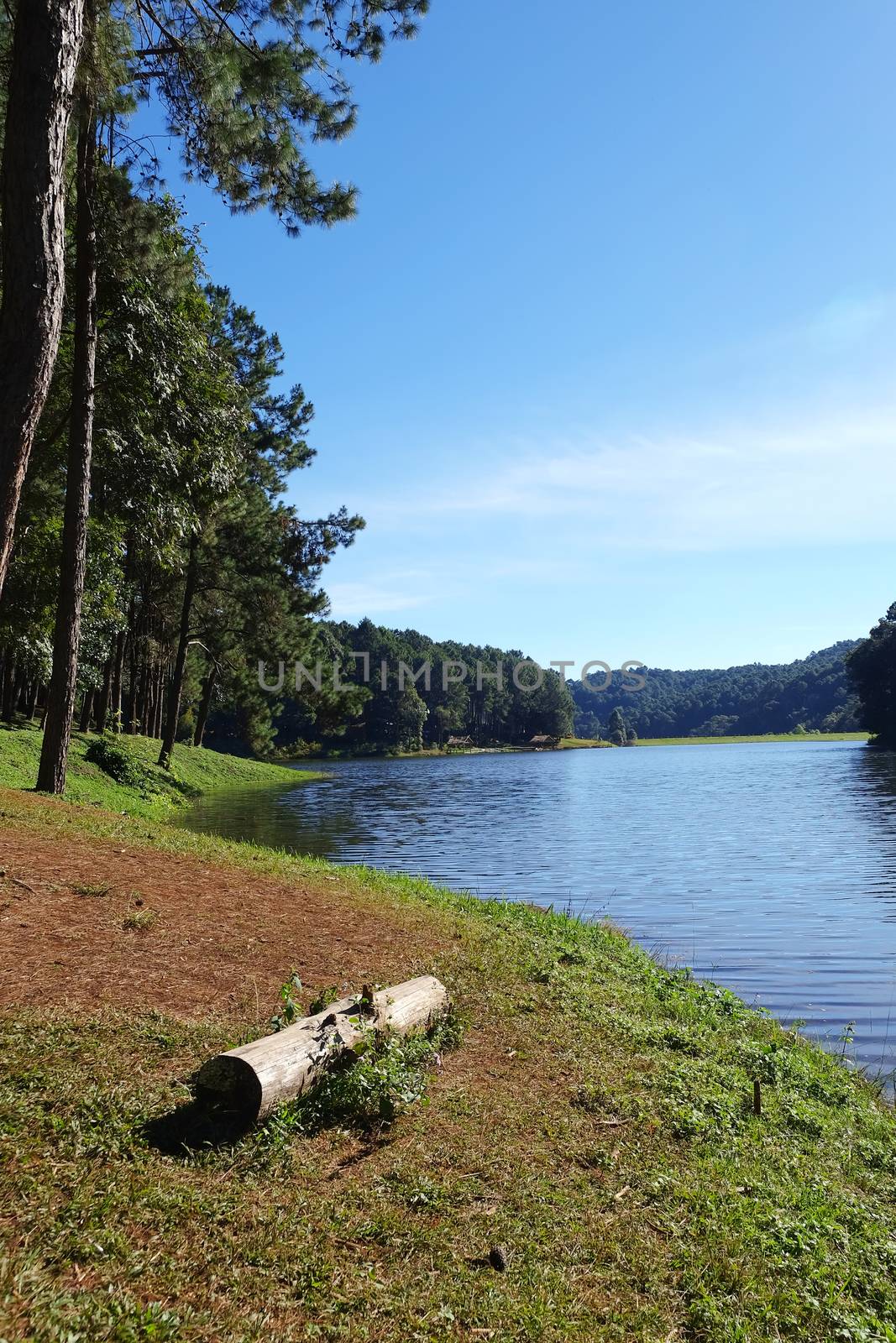 Pang Tong Under Royal Forest Park ( Pang ung ) at Mae Hong Son Province,Thailand. Pang Ung is a popular place to stay in a camping in the winter.