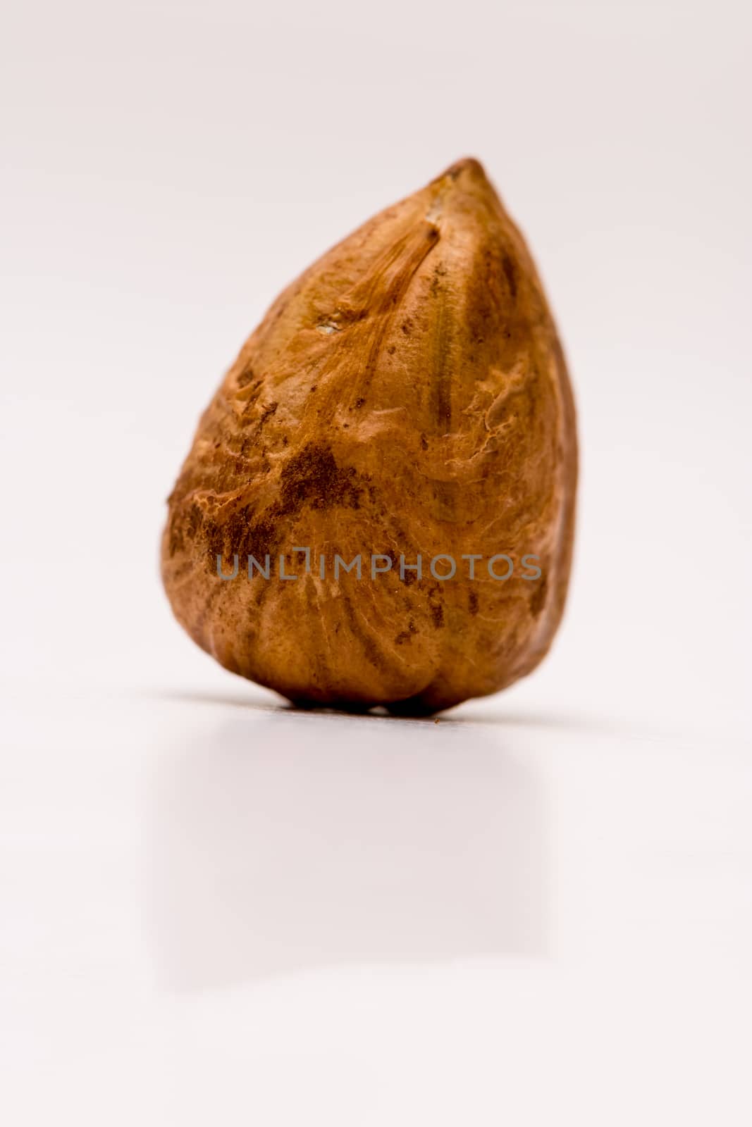 Macro shoot of the pealed hazelnut on the white background