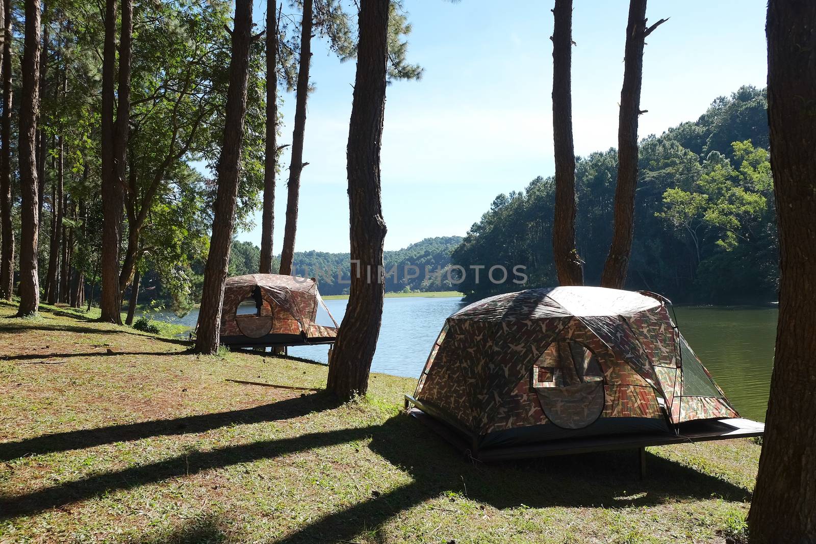Pang Tong Under Royal Forest Park ( Pang ung ) at Mae Hong Son Province,Thailand. Pang Ung is a popular place to stay in a camping in the winter.