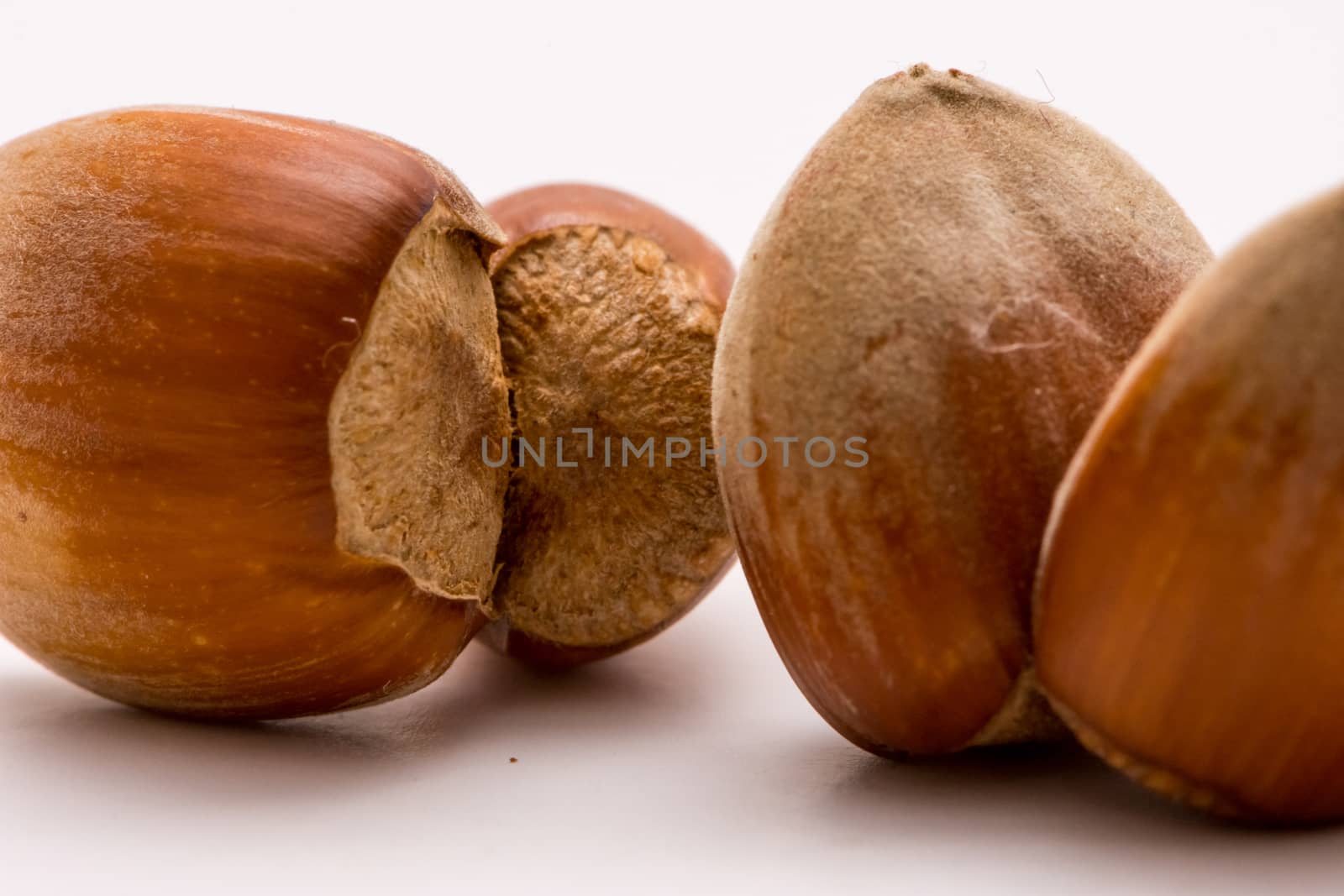 Macro shoot of unpealed dual hazelnut on white backgound