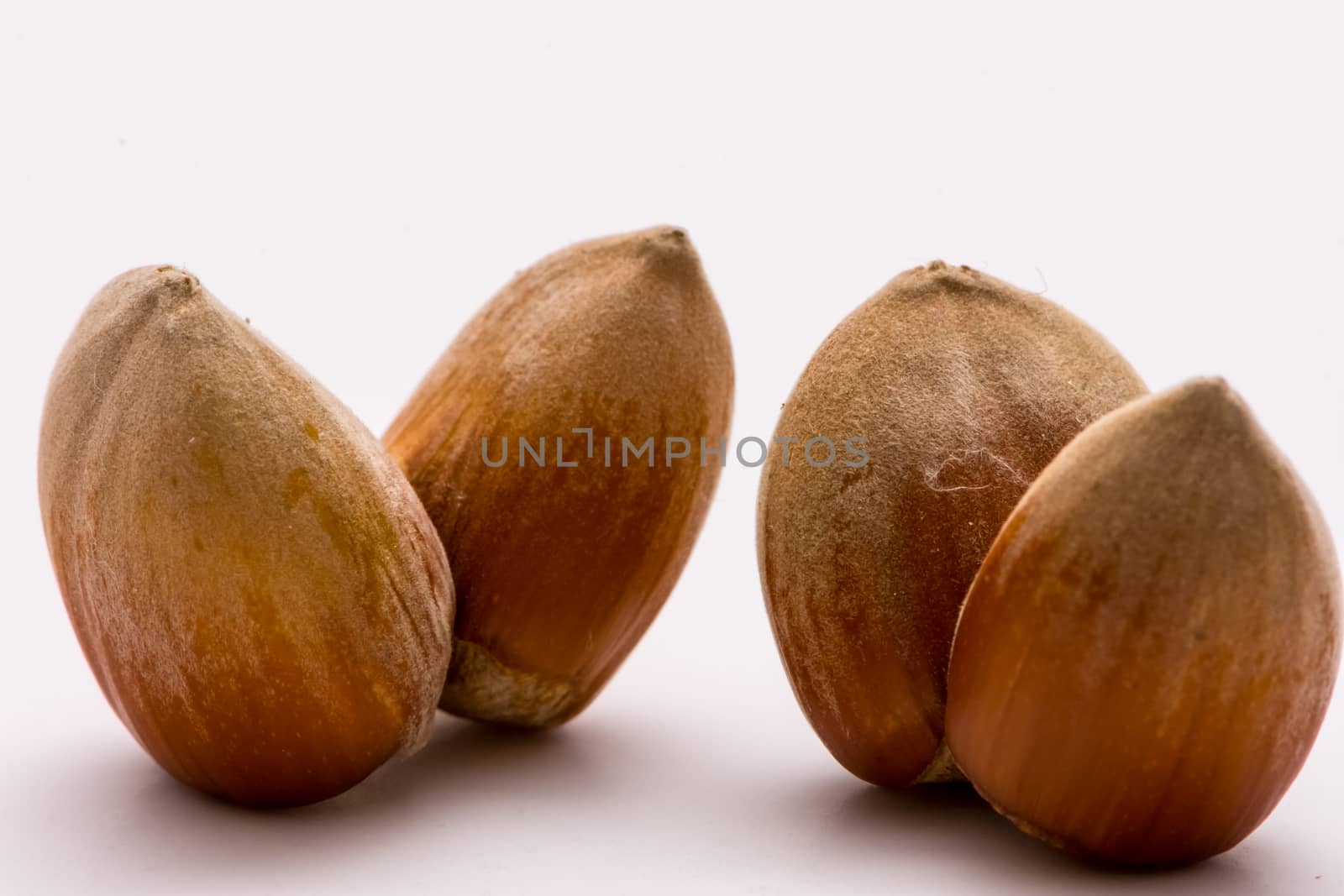 Macro shoot of unpealed dual hazelnut on white backgound