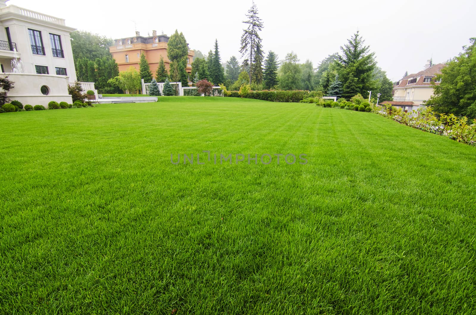 View on beautiful well maintained lawn on sunny day