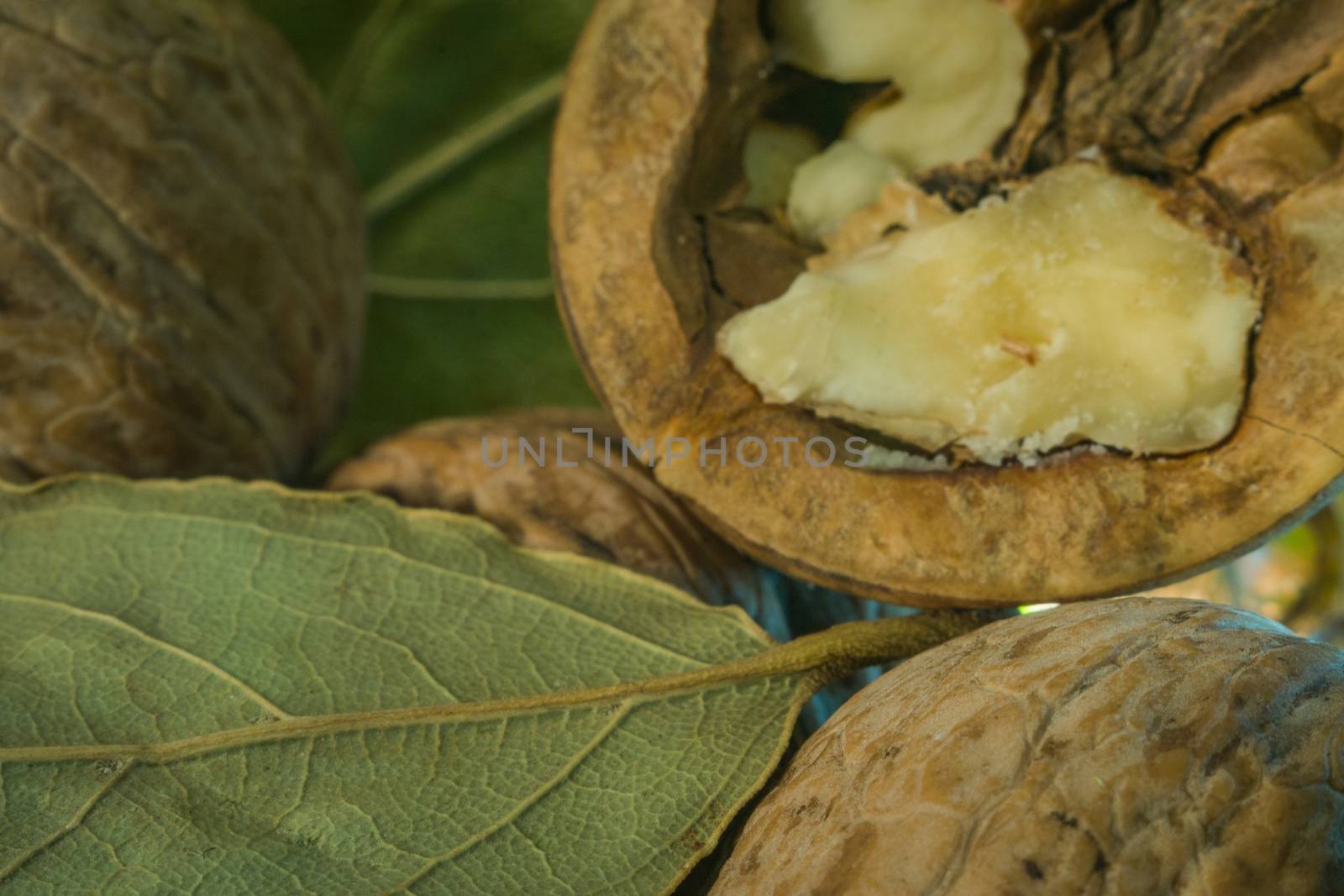 half walnut close-up photo sheets with health nuts