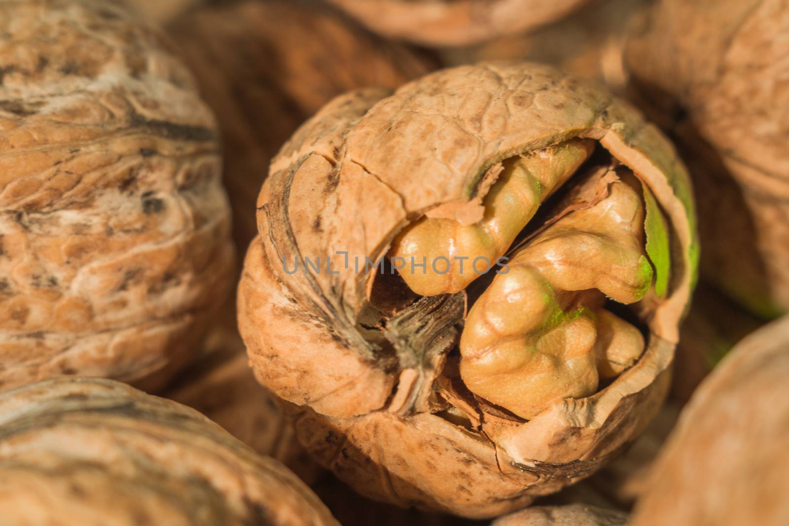 half walnut close-up photo sheets with health nuts