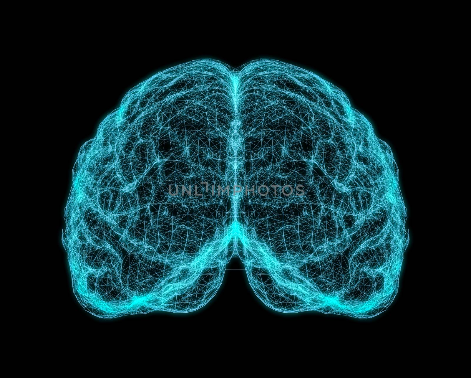 X-ray image of human brain on dark background. 3D Illustration