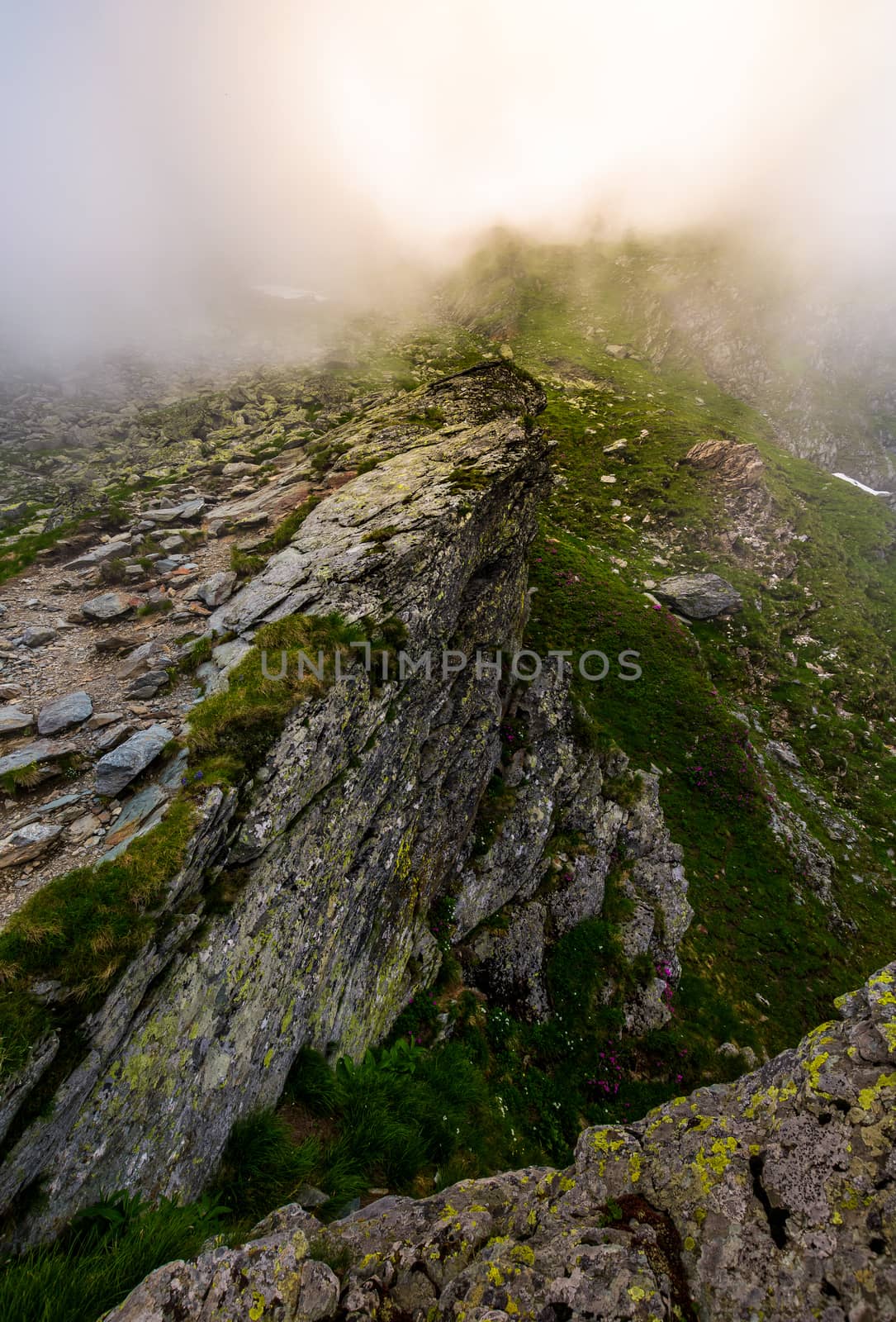 rocky cliffs of Fagaras mountains in fog by Pellinni
