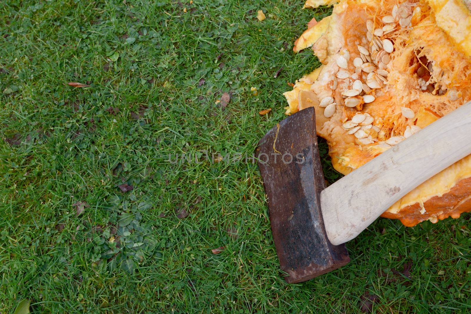 Close-up of sharp axe against a large pumpkin, hacked open - with copy space on green grass