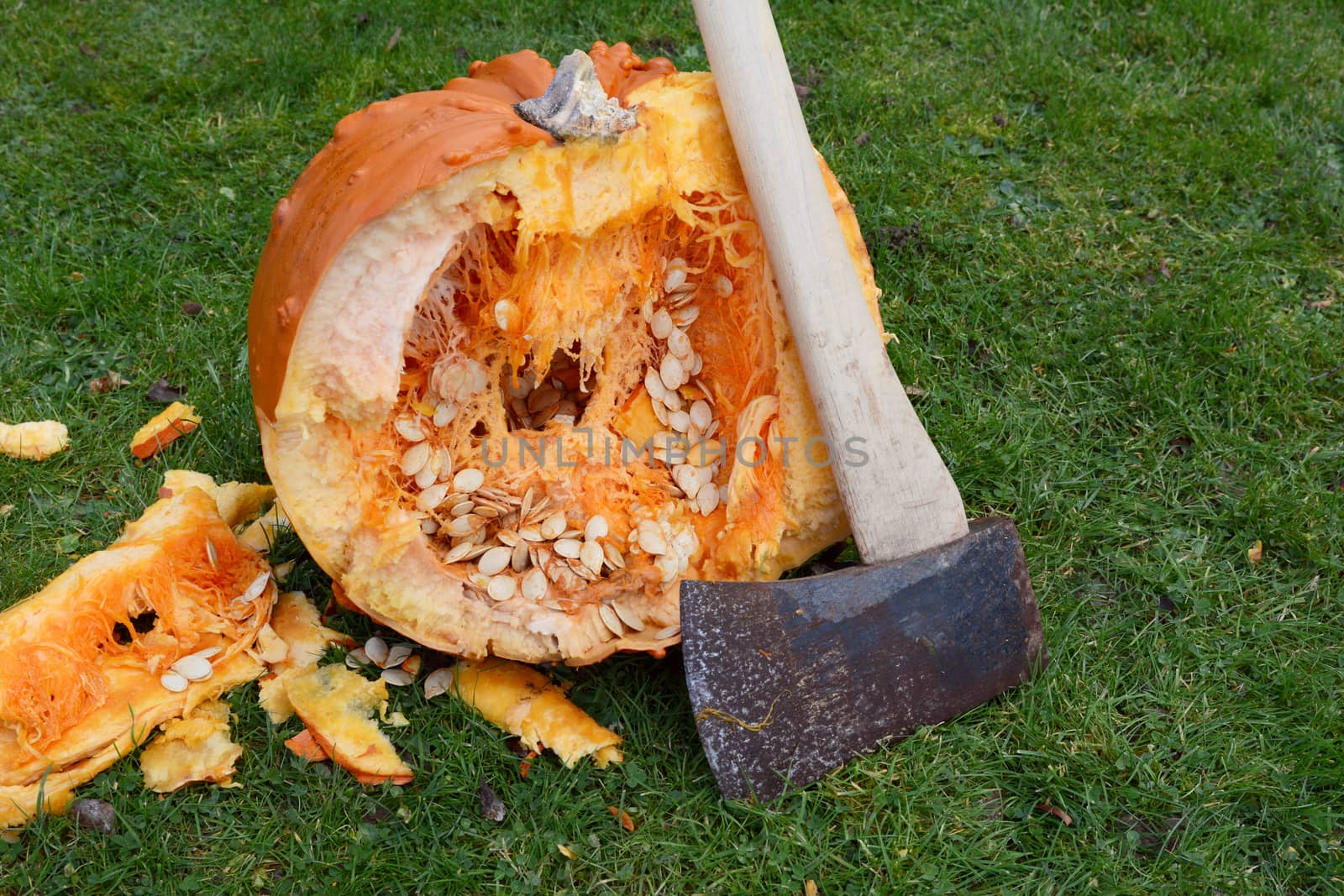 Long-handled axe against a warty orange pumpkin, with lumps of flesh and seeds spilled on grass