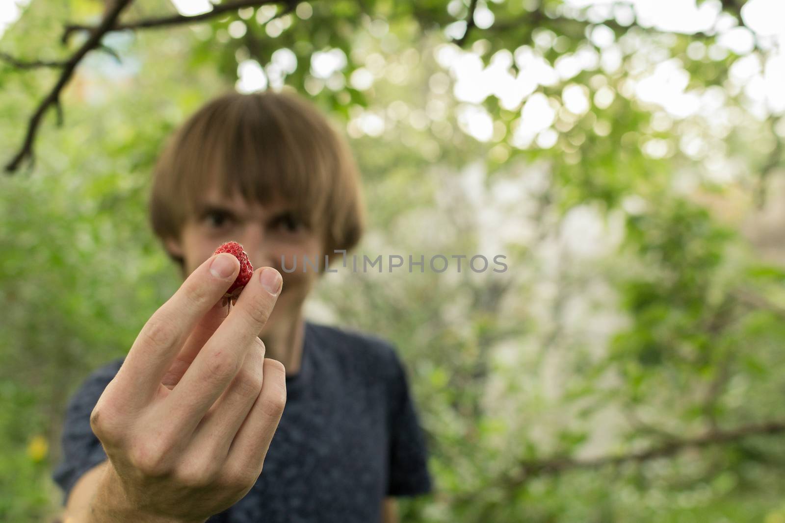 berries in hand, strawberries in the hands of young men