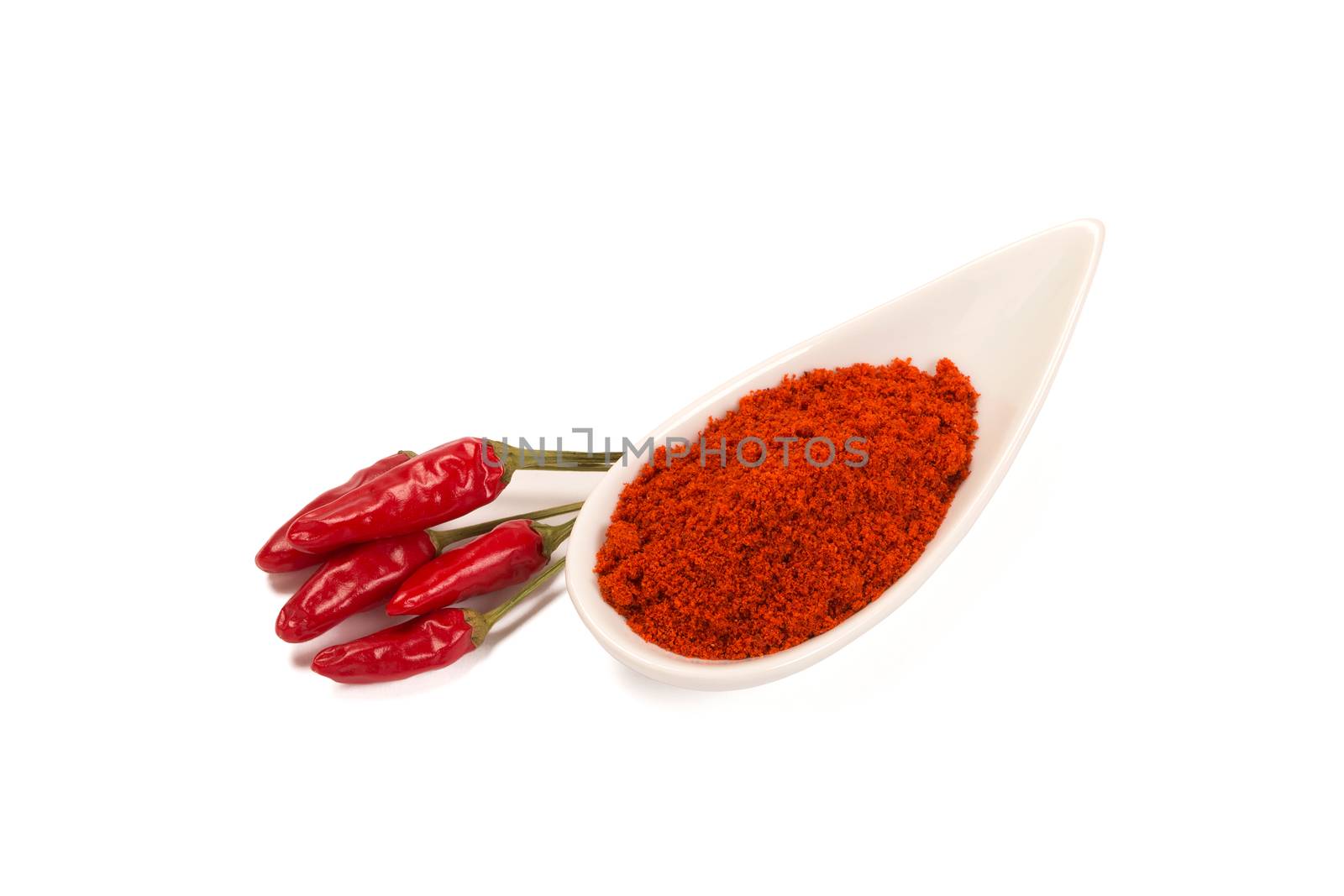 Red hot chilies isolated, Hot peppers and chili powder by ivo_13