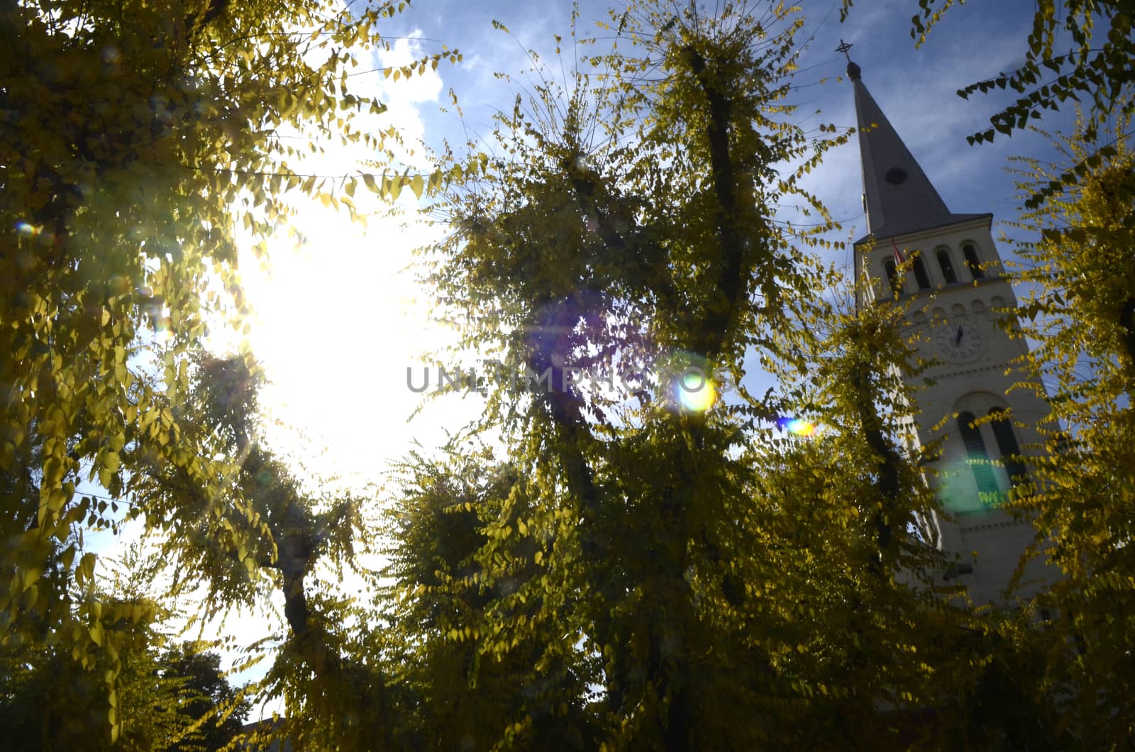 Oroshaza, city in Hungary at sunny autumn day