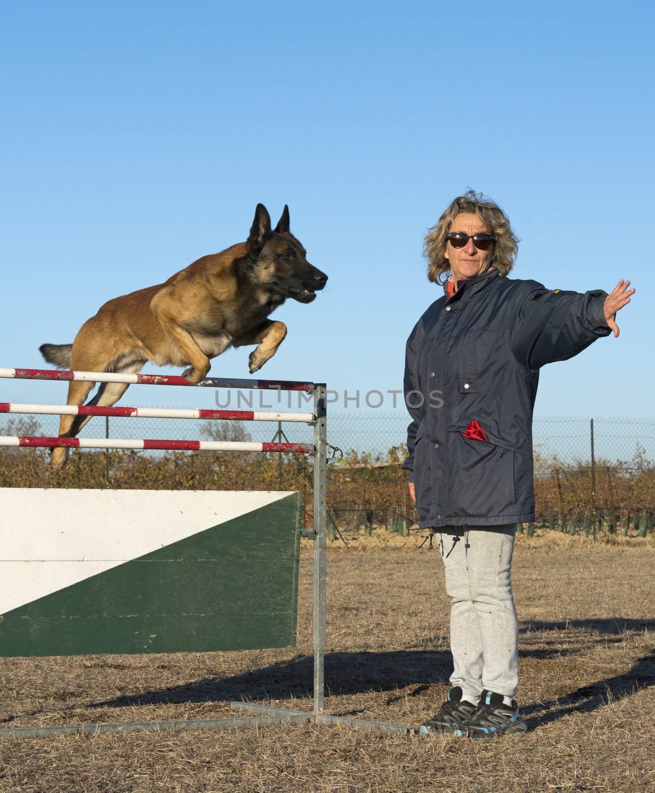 training of police dog in the nature