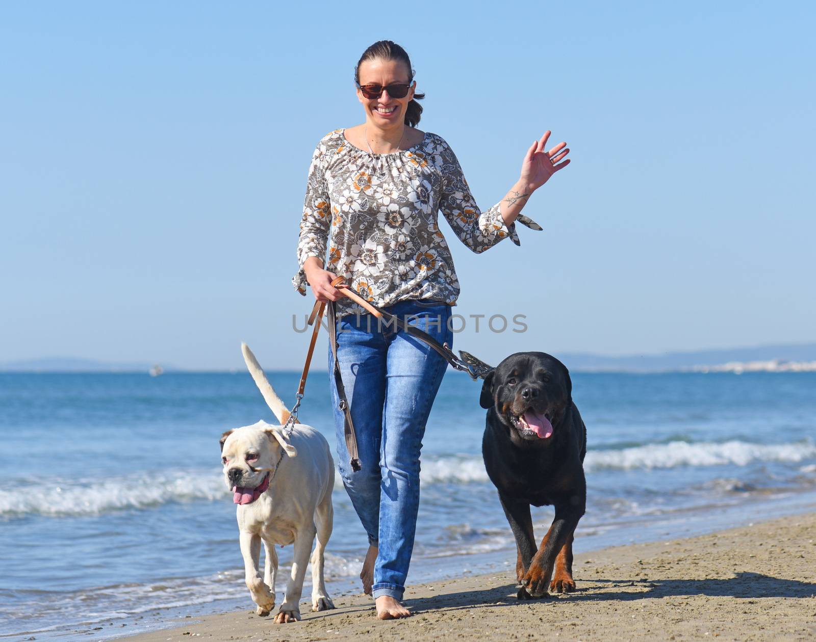 woman and dogs on the beach by cynoclub