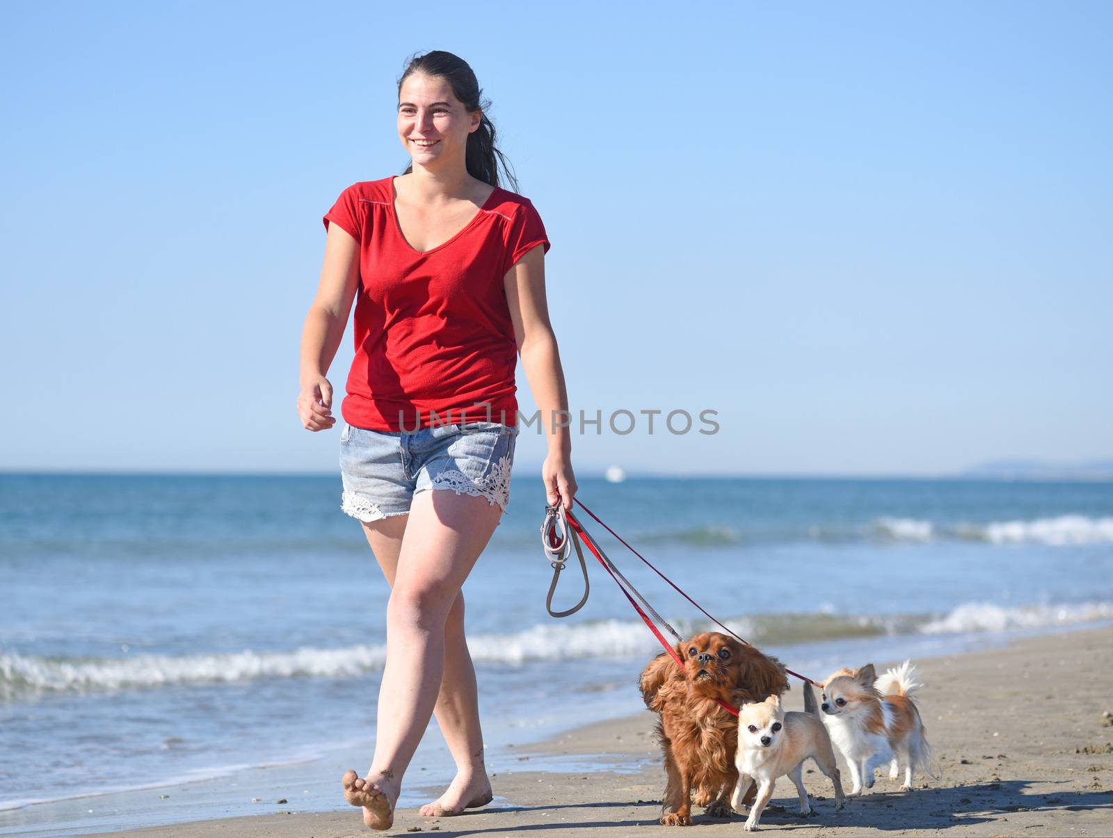 woman and dogs walking on the beach